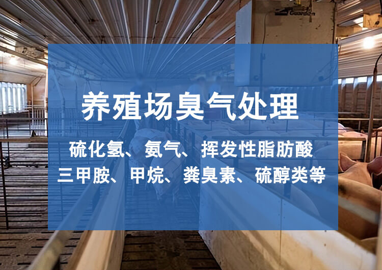 養(yǎng)殖場廢氣處理規(guī)范，養(yǎng)殖場臭氣處理的重要性